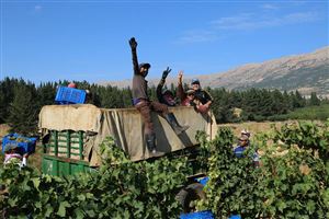 /Gallery/Events/ChateauKefraya/Pic 15.jpg